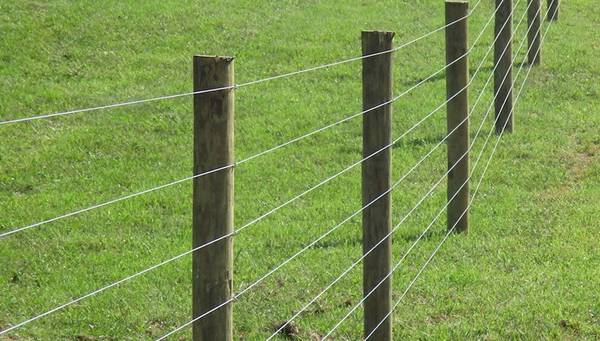 Several lines of oval wires are fastened on the wooden post.