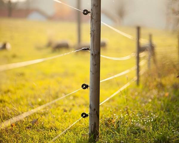 Several lines of oval wires are attached on the wooden posts.