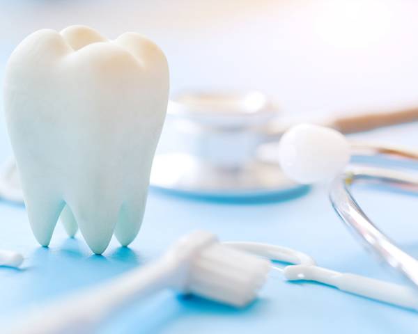 A tooth model and a toothbrush on the table.